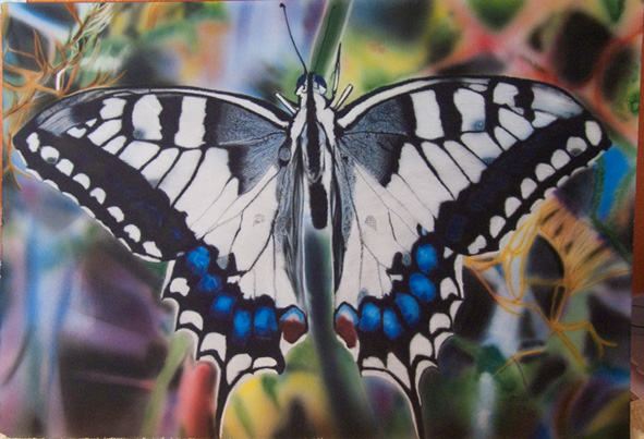 Bild auf Airbrushkarton